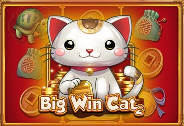Big Win Cat
